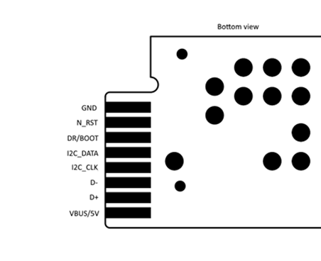 Module Pin-Out